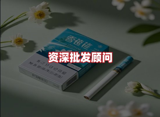 专业团队
